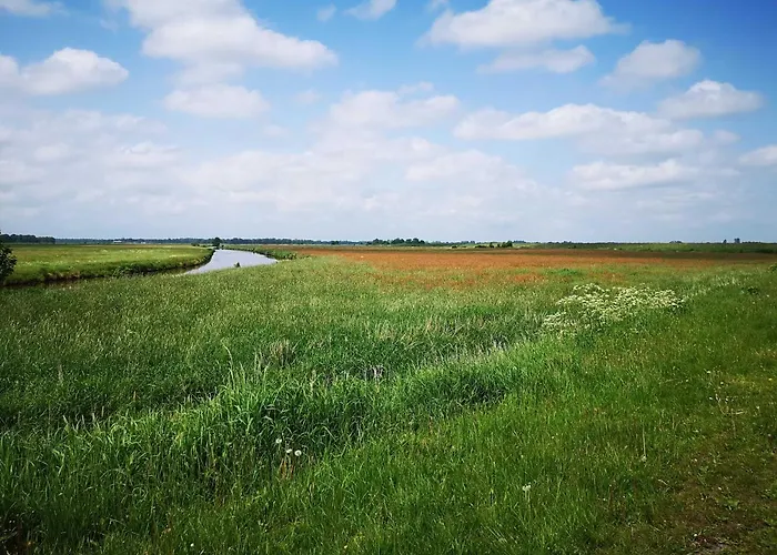 Rossbach, 95061 Rhauderfehn